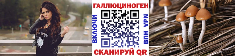 Псилоцибиновые грибы Psilocybine cubensis  Алатырь 