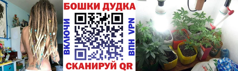 МАРИХУАНА план  Алатырь 